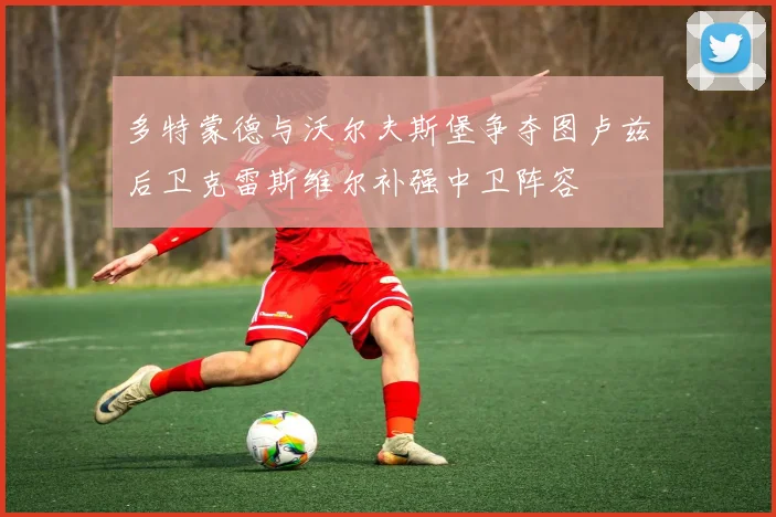 多特蒙德与沃尔夫斯堡争夺图卢兹后卫克雷斯维尔补强中卫阵容